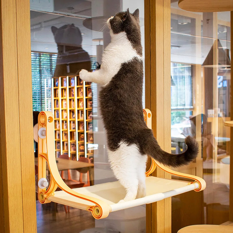 Hamac Chat Ventouse Vitre | Leonas