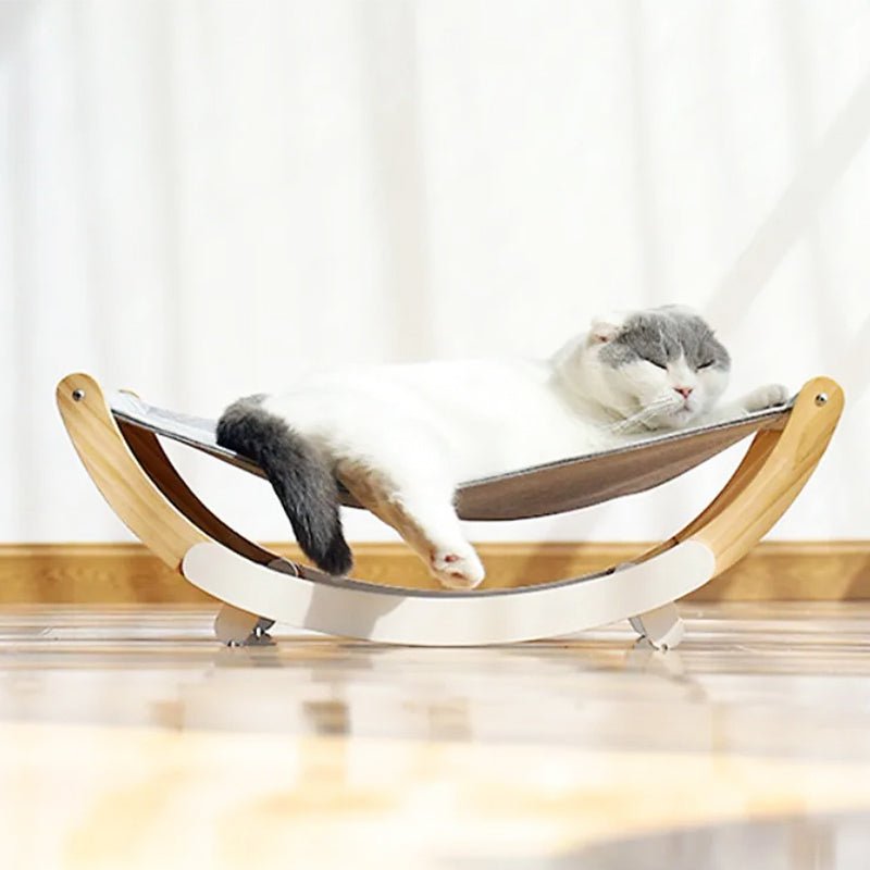 Hamac Chat | Pongo