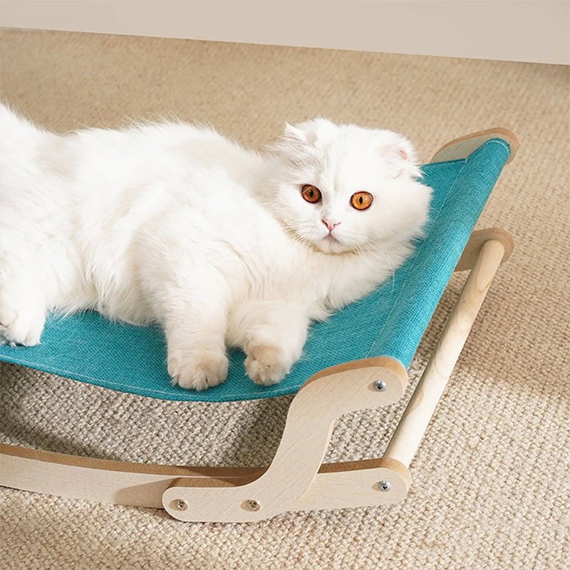 Hamac Chat Bois | Billy