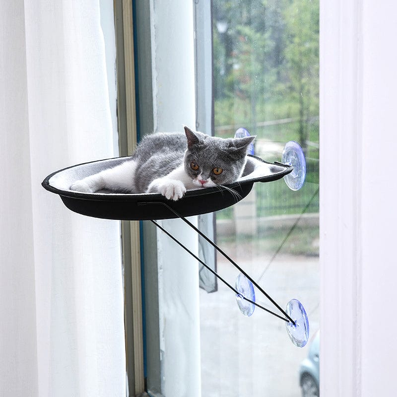 Hamac Chat Ventouse | Spoon