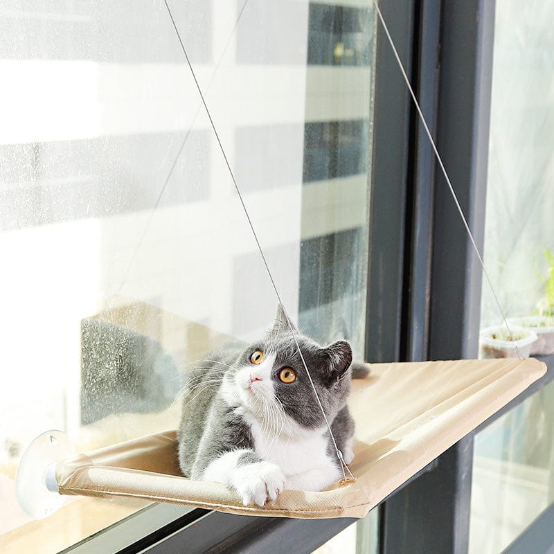 Hamac Chat Vitre