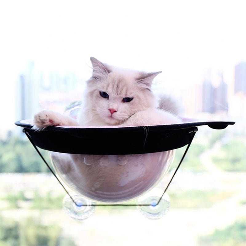 Hamac de Chat Fenêtre