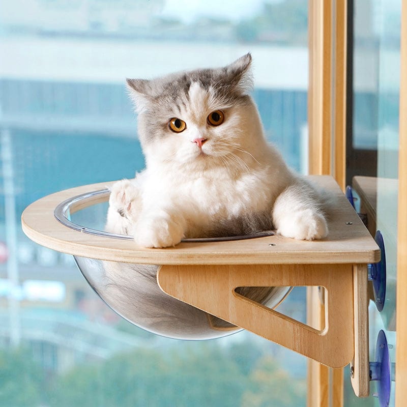 Hamac Fenêtre Bois Chat