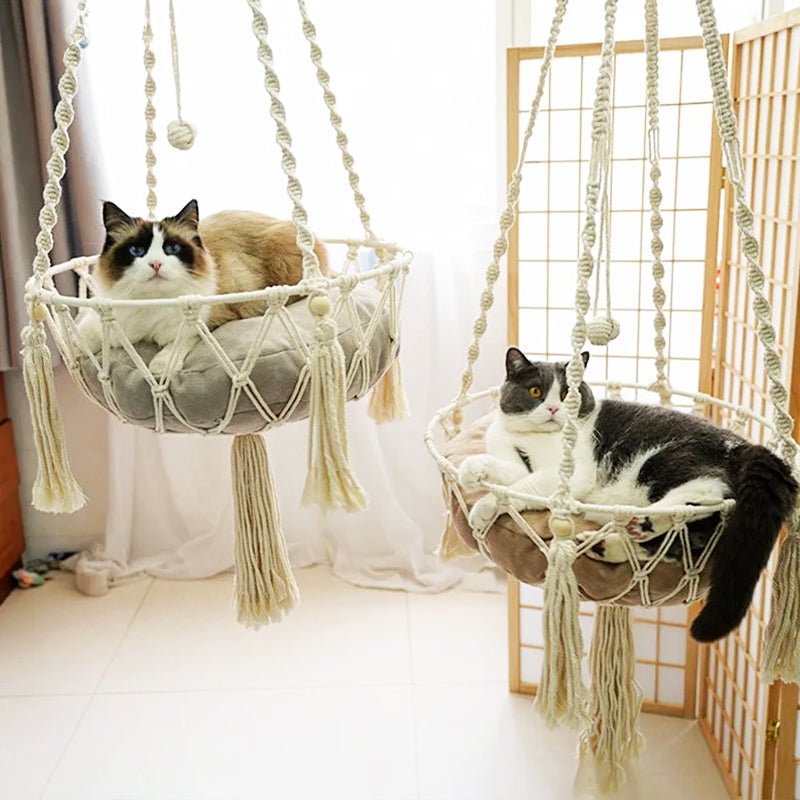 Hamac Lounge pour Chat