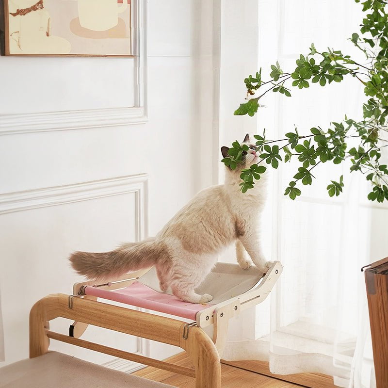 Hamac Vitre pour Chat