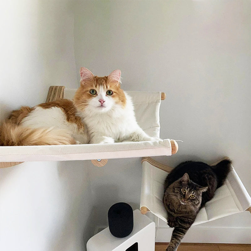 Hamac Chat Fixation Murale | Misty