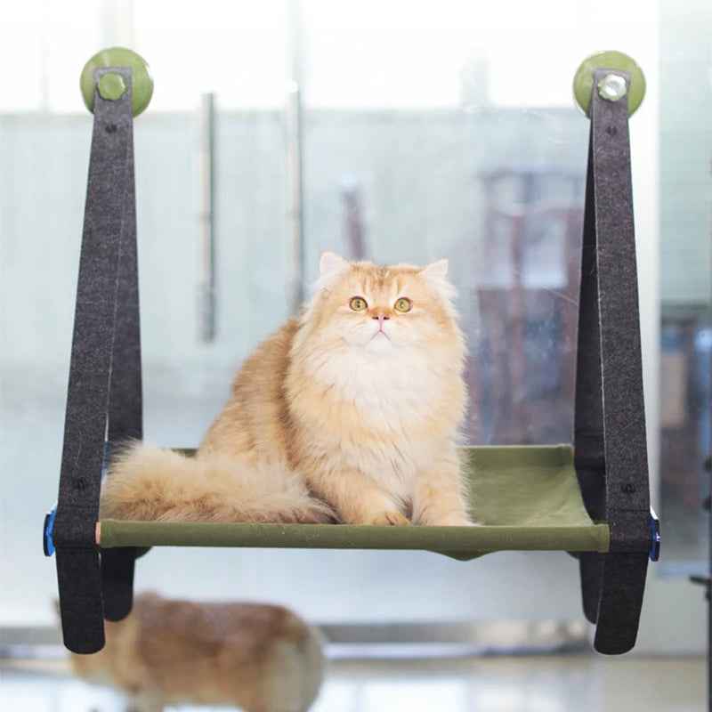 Hamac Vitre Chat | Lexie