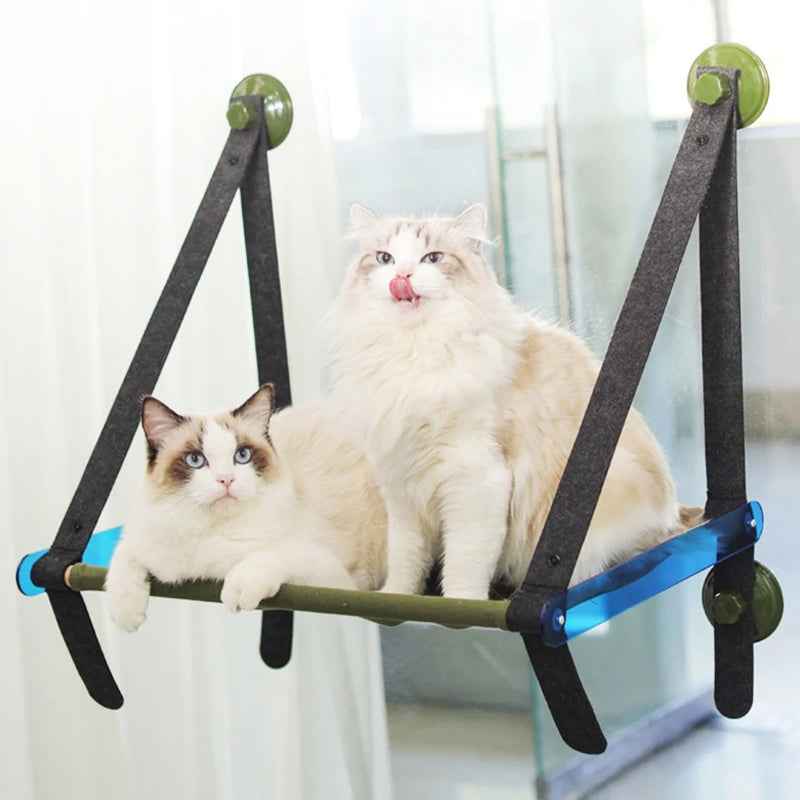 Hamac Vitre Chat | Lexie