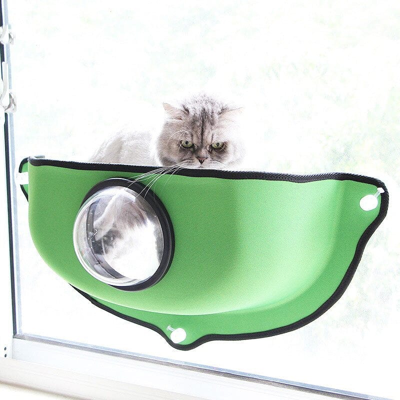 Hamac de montage de fenêtre pour chats d'intérieur perche ventouse étagère  en verre jouets avec support hamac de soleil pour animaux de compagnie brun
